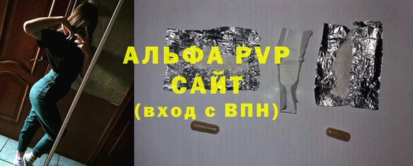 индика Володарск