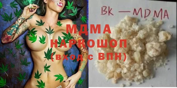 индика Волоколамск