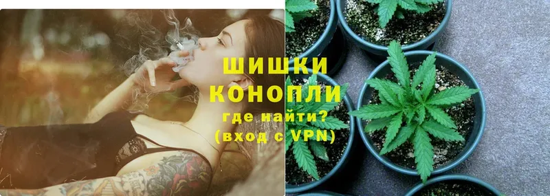 Шишки марихуана THC 21%  гидра как войти  Бакал 